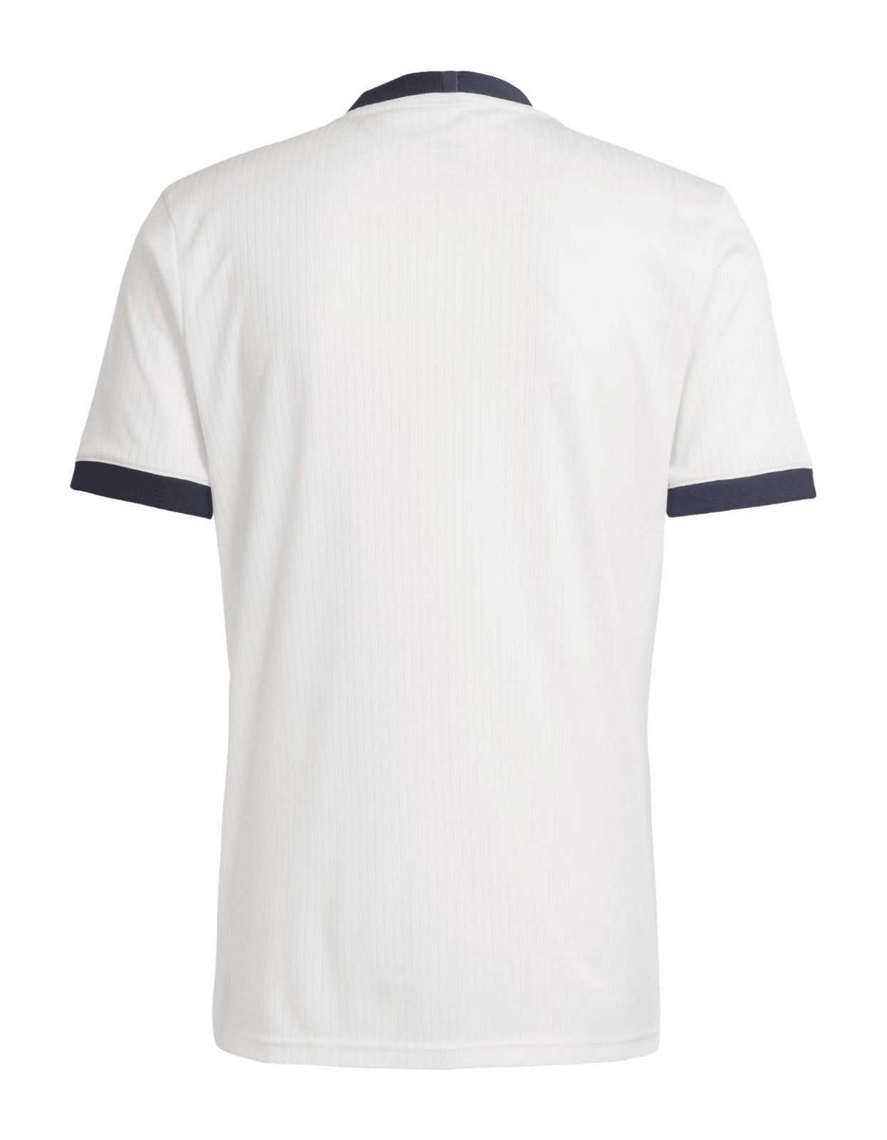 MAILLOT DOMICILE ALLEMAGNE 25