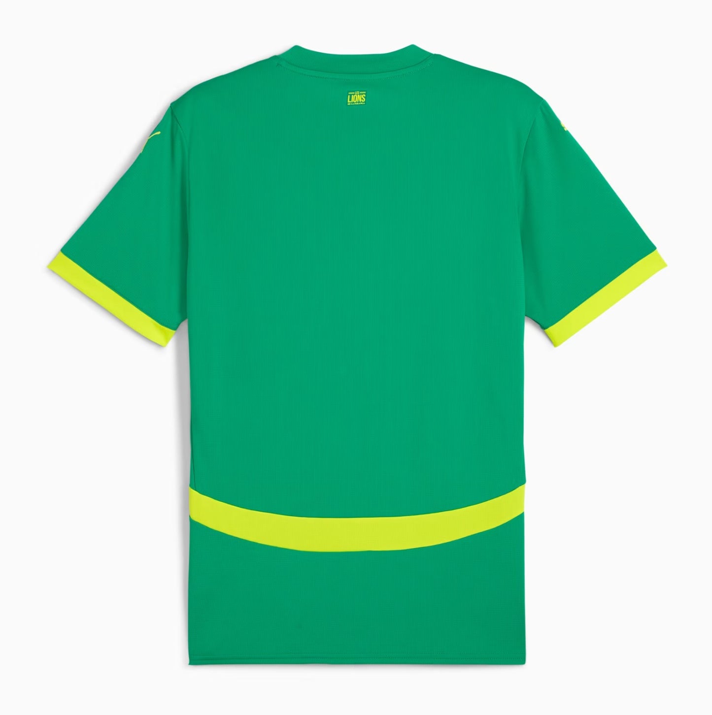 MAILLOT EXTERIEUR SENEGAL 24
