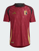 MAILLOT DOMICILE BELGIQUE 24
